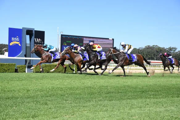 FREE: Wyong Tip Sheet & Staking Plan: Wednesday 14th December Image