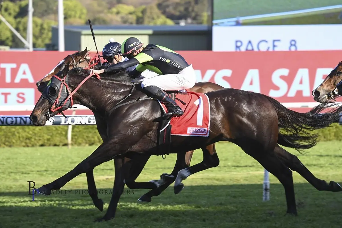 FREE: Randwick Tip Sheet & Staking Plan: Saturday 14th December Image