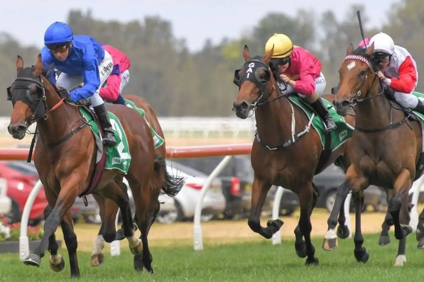 Our BlackBook & Trial Runners: Horses Running Today & Staking Plan 27/10 Image