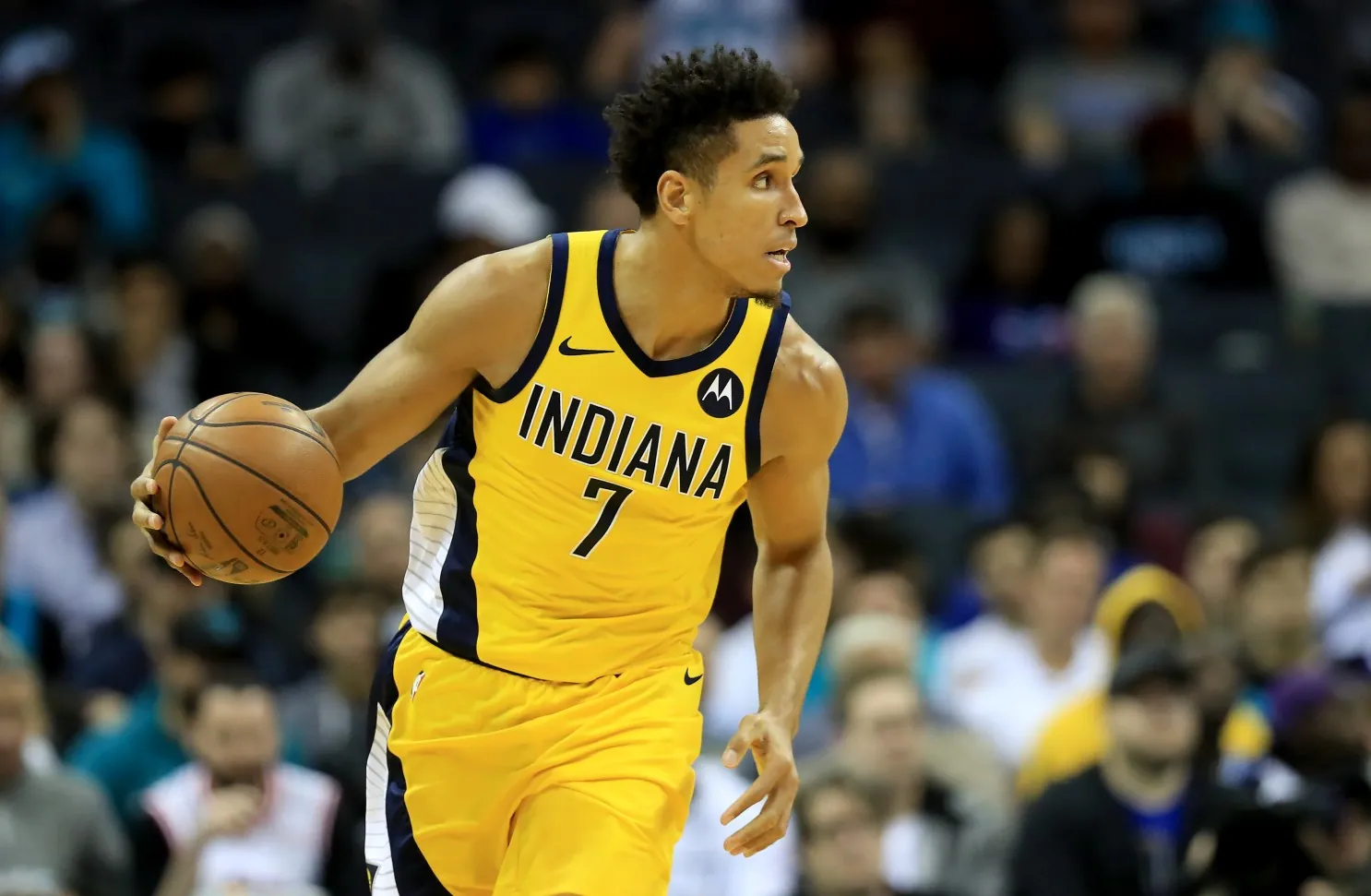Our Professional NBA Tips, Analysis & Staking Plan 30/4 Image