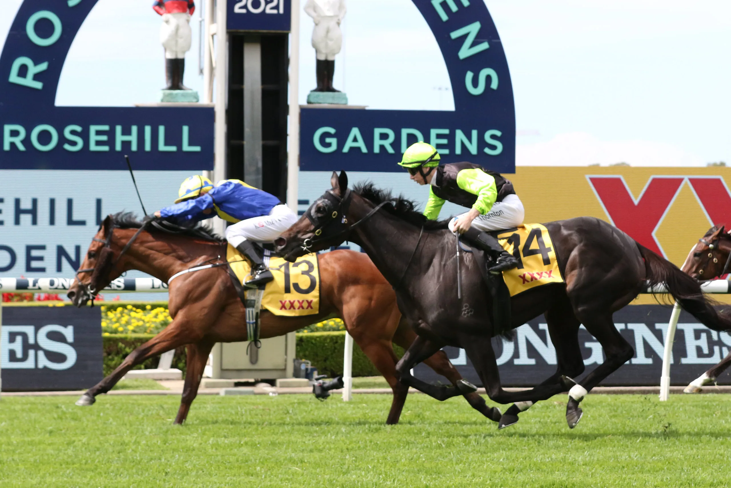 Rosehill Tip Sheet & Staking Plan: Saturday 3rd July Image