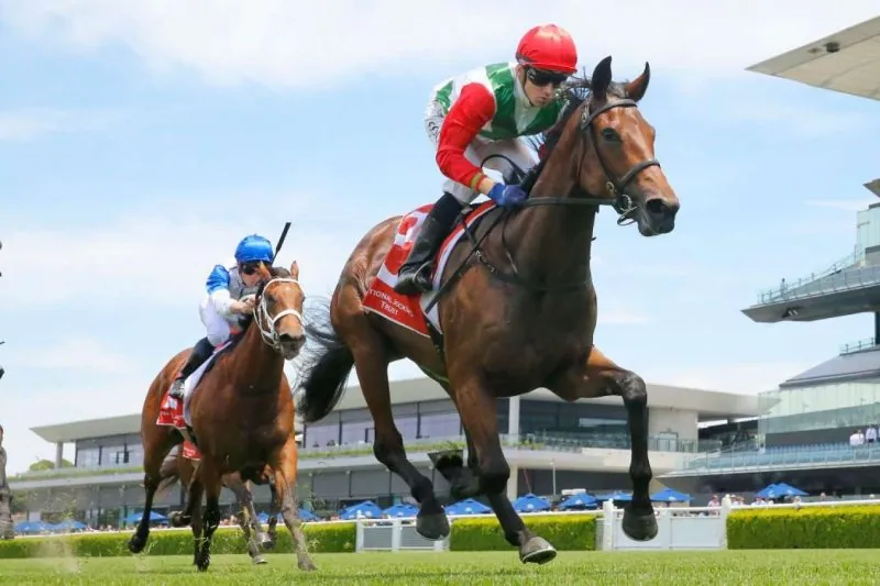 Our Black Book: Horses You Must Follow From Randwick 25/5 Image
