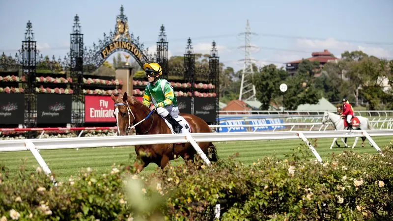 FREE: Flemington Tip Sheet & Staking Plan: Saturday 16th September Image