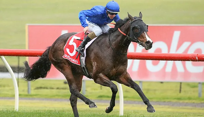 Horses You Must Follow From Rosehill 12th September Image