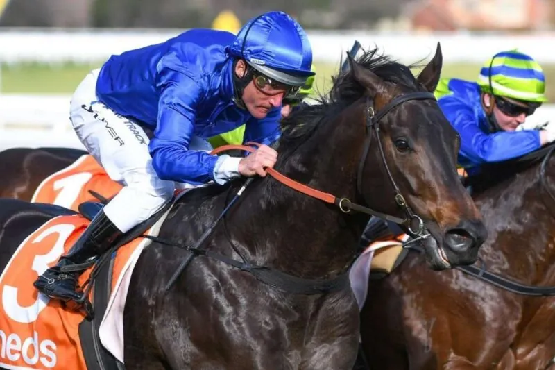 Randwick Preview: Cummings Blow-Out Everest Chance Image