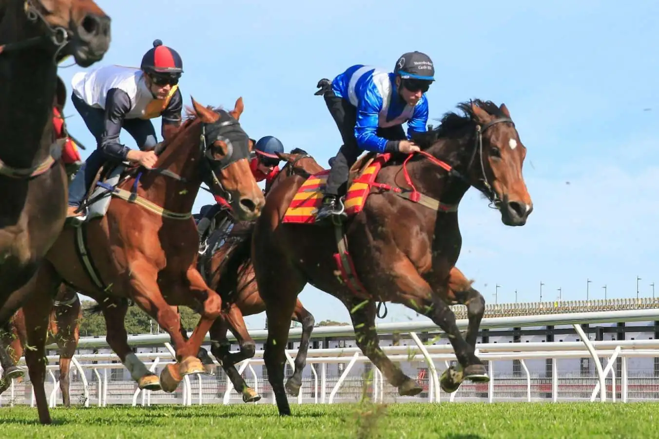 Our BlackBook & Trial Runners: Horses Running Today & Staking Plan 3/10 Image