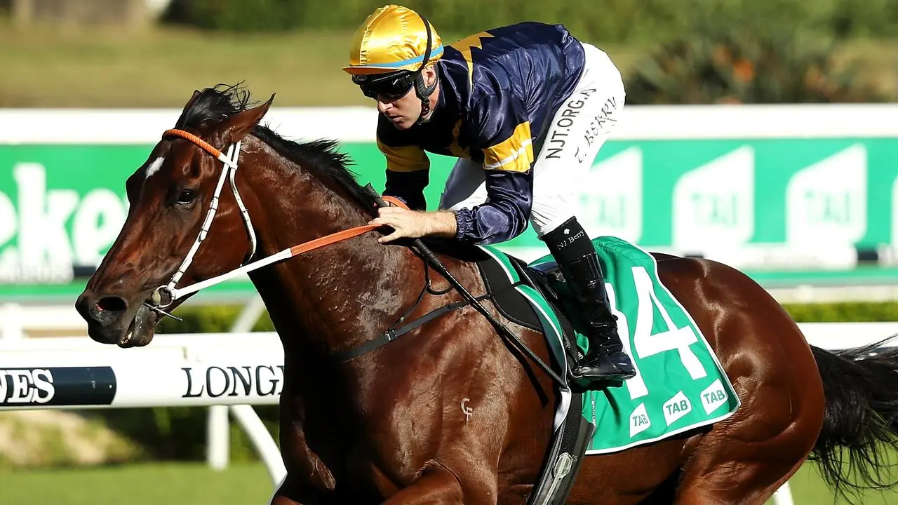 Horses You Must Follow From Rosehill 26th September Image