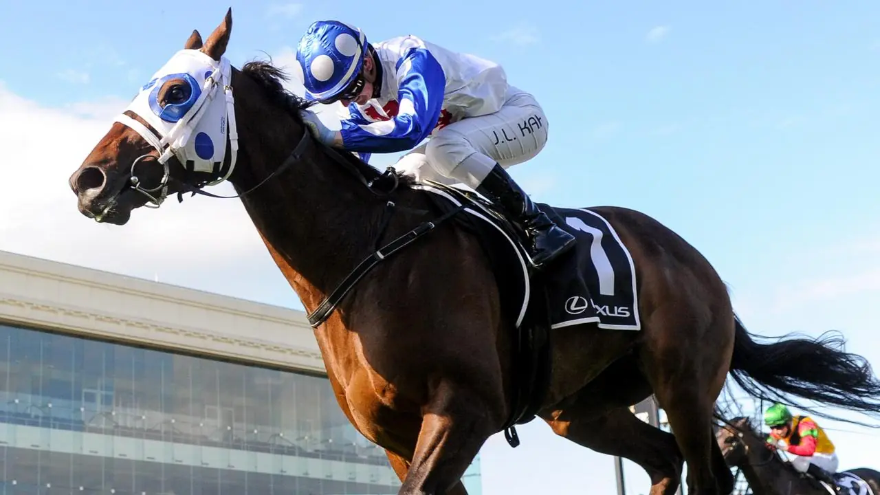 Mr Quickie primed second-up heading into $5 Million All-Star Mile  Image