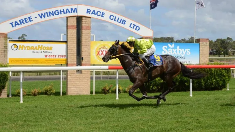 THE EDGE: Tuesday 14/9 – NSW Provincial & Country Service Image