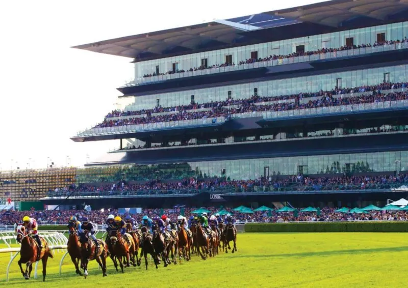 Black Book: Horses You Must Follow From Randwick 4/2 Image