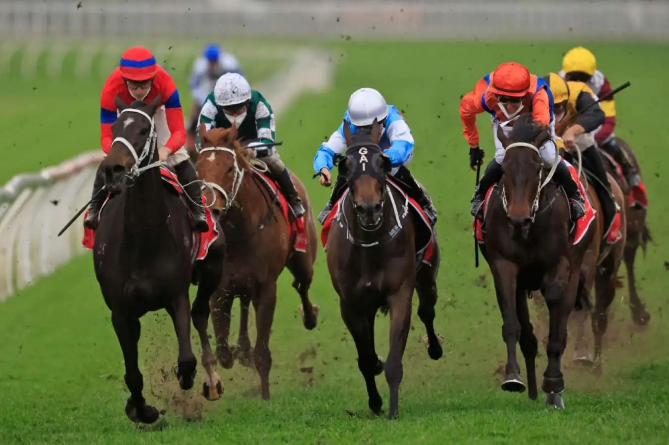 Randwick Tip Sheet & Staking Plan: Saturday 2nd October Image