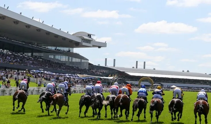 Rosehill Tip Sheet & Staking Plan: Saturday 28th November Image