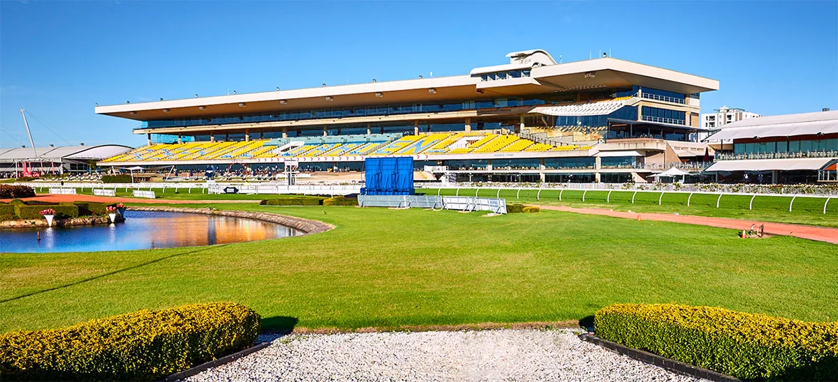 FREE: Rosehill Tip Sheet & Staking Plan: Saturday 17th June Image