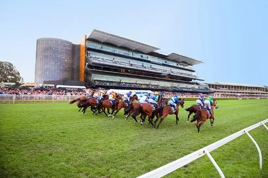 Randwick Tip Sheet & Staking Plan: Saturday 23rd January Image