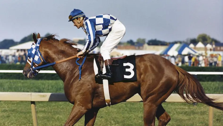 Epic Rivals: Icons of the Racetrack Image