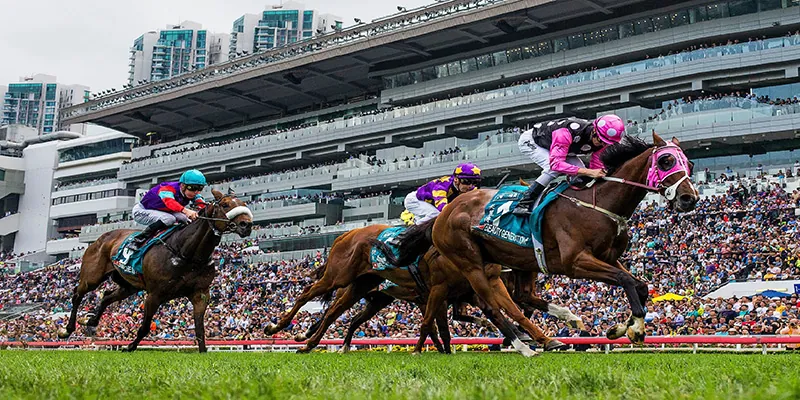 FREE: Sha Tin Best Bet 3/12 Image
