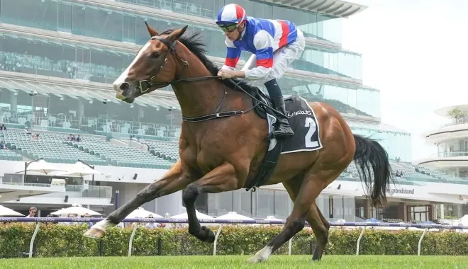 FREE: Flemington Tip Sheet & Staking Plan: Saturday 4th June Image