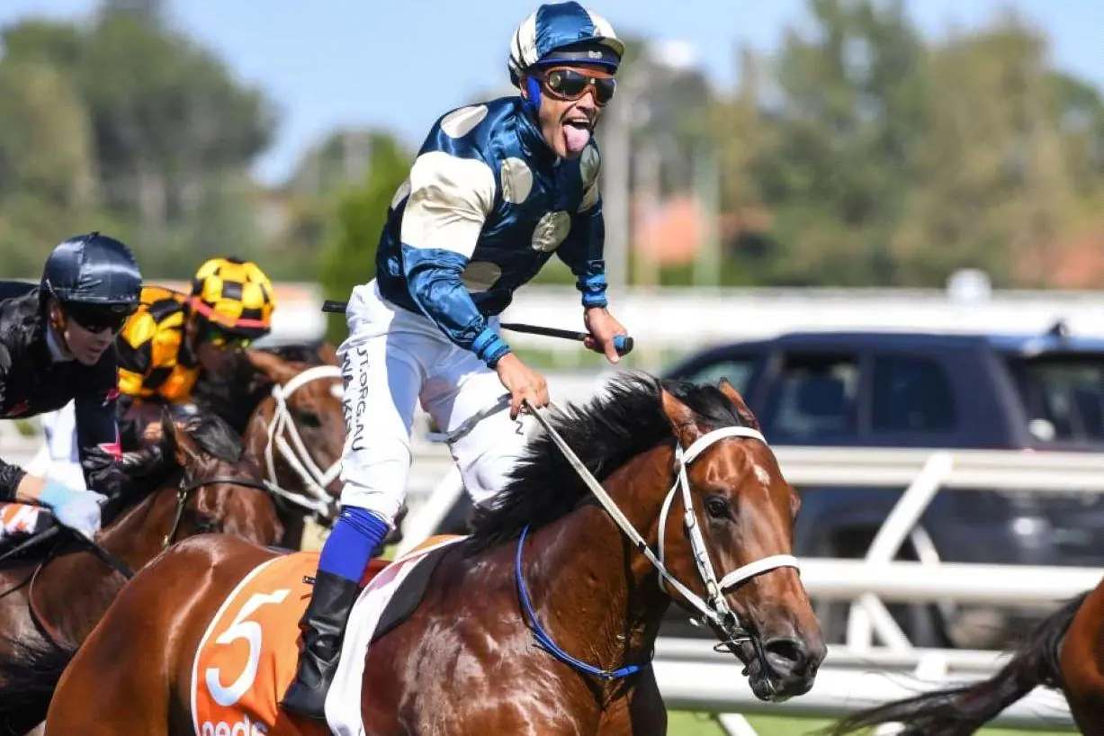 Caulfield Tip Sheet & Staking Plan : Wednesday 13th September Image