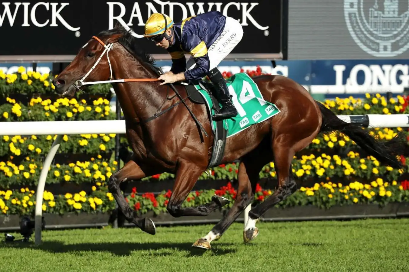 Randwick Tip Sheet & Staking Plan: Saturday 12th June Image