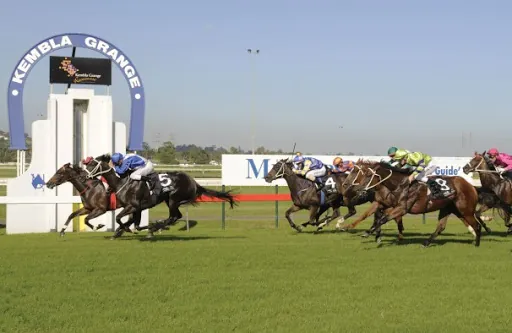 Horses You Must Follow From Kembla Grange 21st November Image