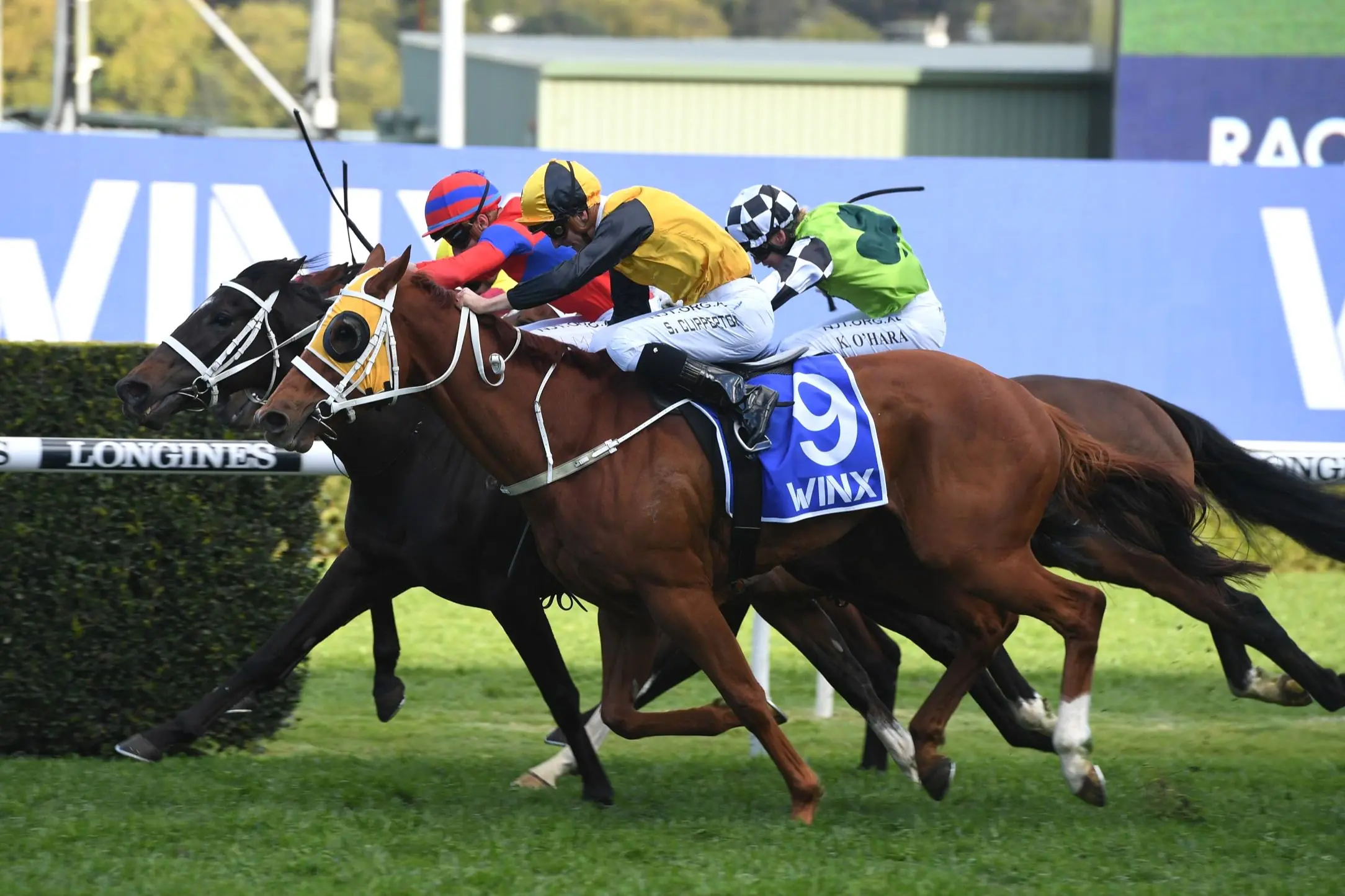 Final Field is in for the first Group 1 of the season Image