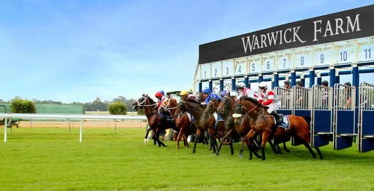 Warwick Farm Tip Sheet & Staking Plan: Wednesday 10th February Image