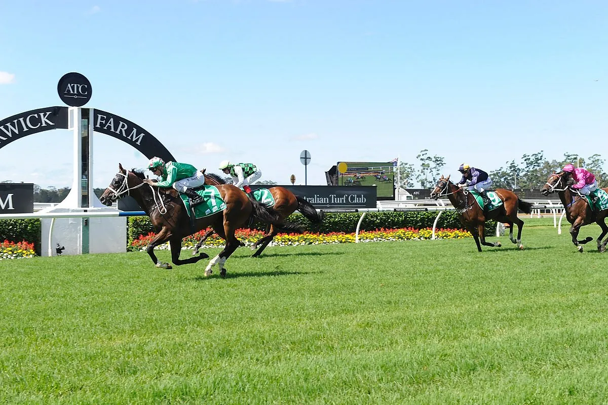 Warwick Farm Best Selection & Value Play 8/1 Image