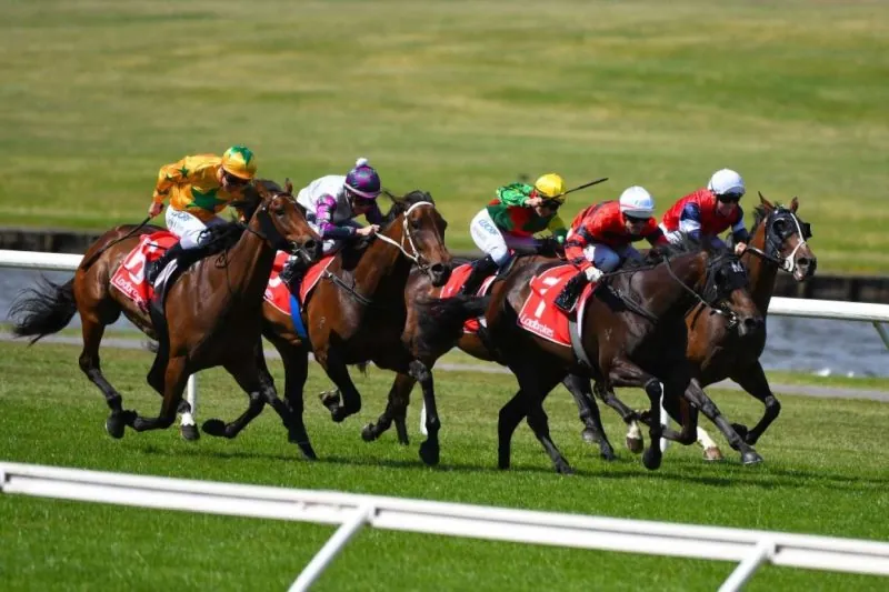 FREE: Sandown Hillside Tip Sheet & Staking Plan: Wednesday 30th August Image