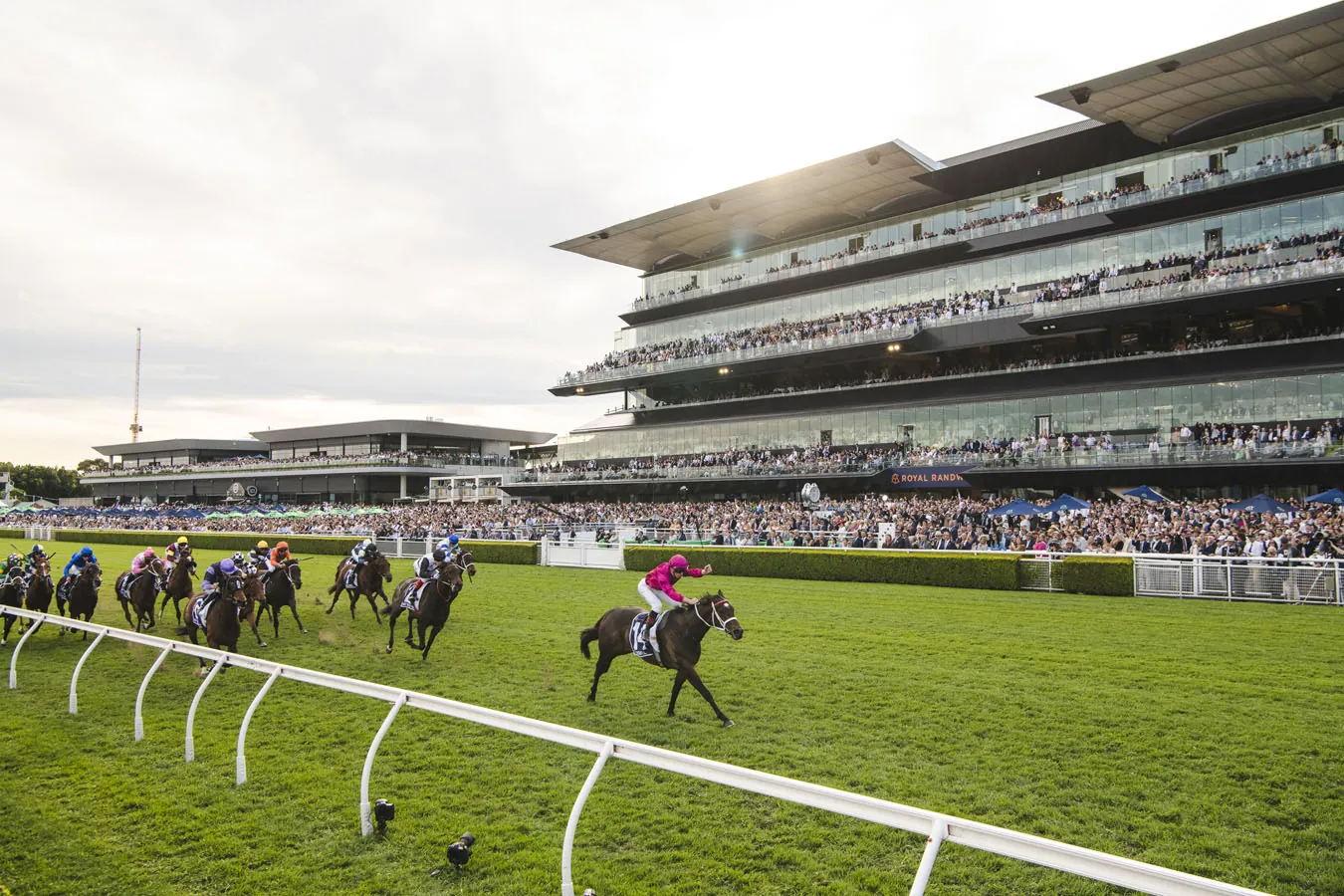 RACING: Randwick Tips – Saturday 9th August Image
