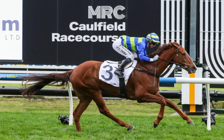 FREE: Caulfield Tip Sheet & Staking Plan: Saturday 3rd May Image