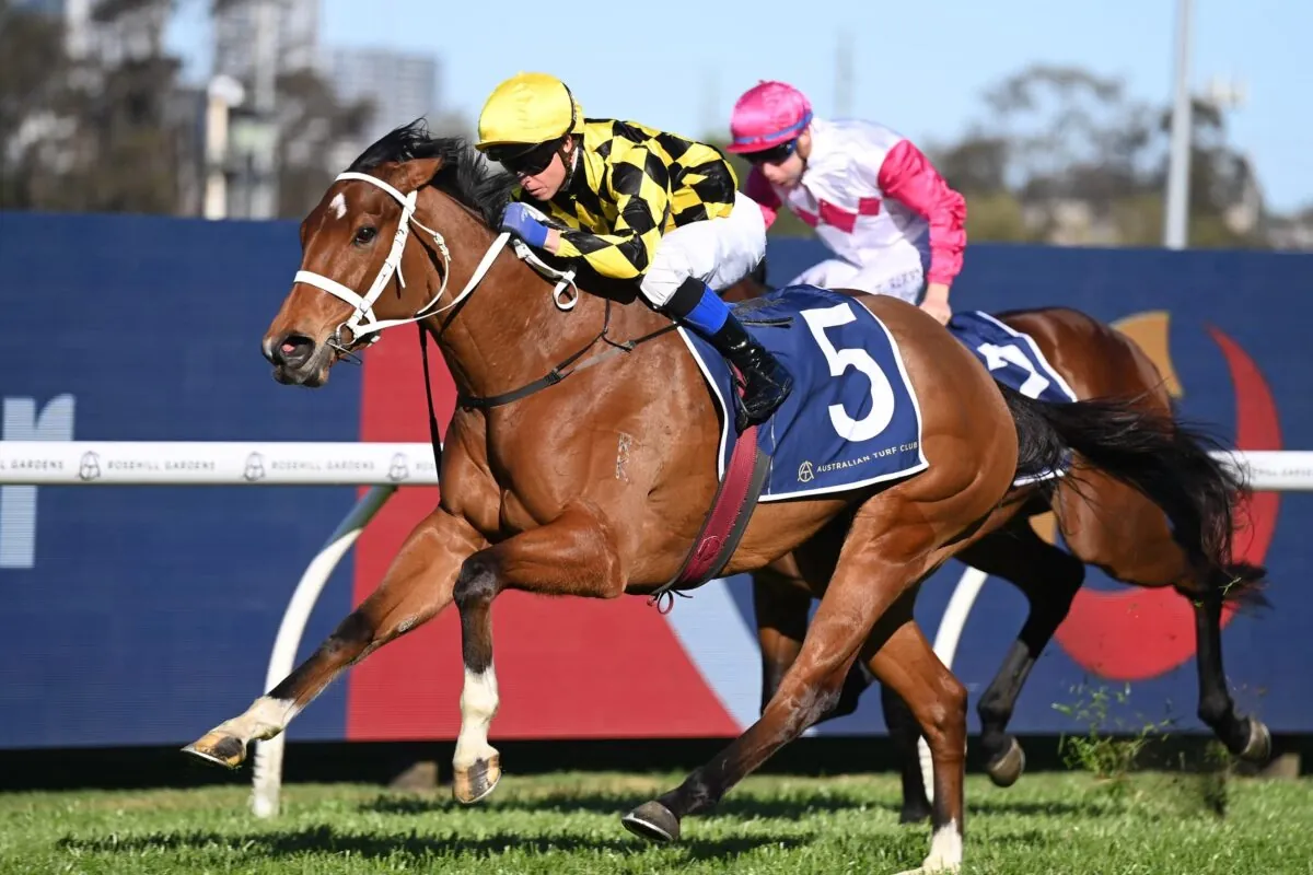 The Epsom: Every Runner Breakdown, Tips, and Predicted Finishing Order Image