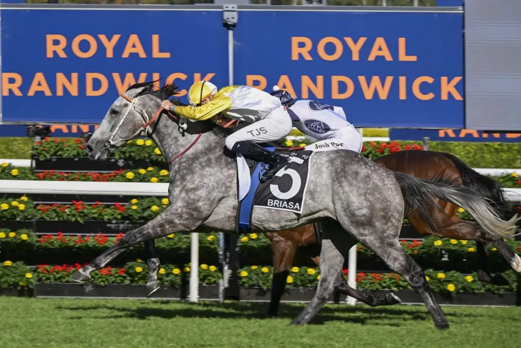 FREE: Randwick Tip Sheet & Staking Plan: Saturday 19th April Image