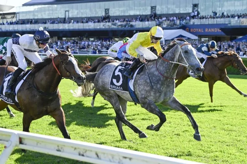 G1 All Aged Stakes: Our Top 4 Selections Image