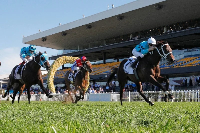 RACING: Long Shots To Follow At Rosehill 16/8 Image