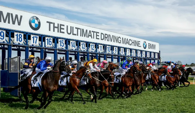 Racing Market Movers: Which Horses Have Been Backed This Saturday 26/7 Image