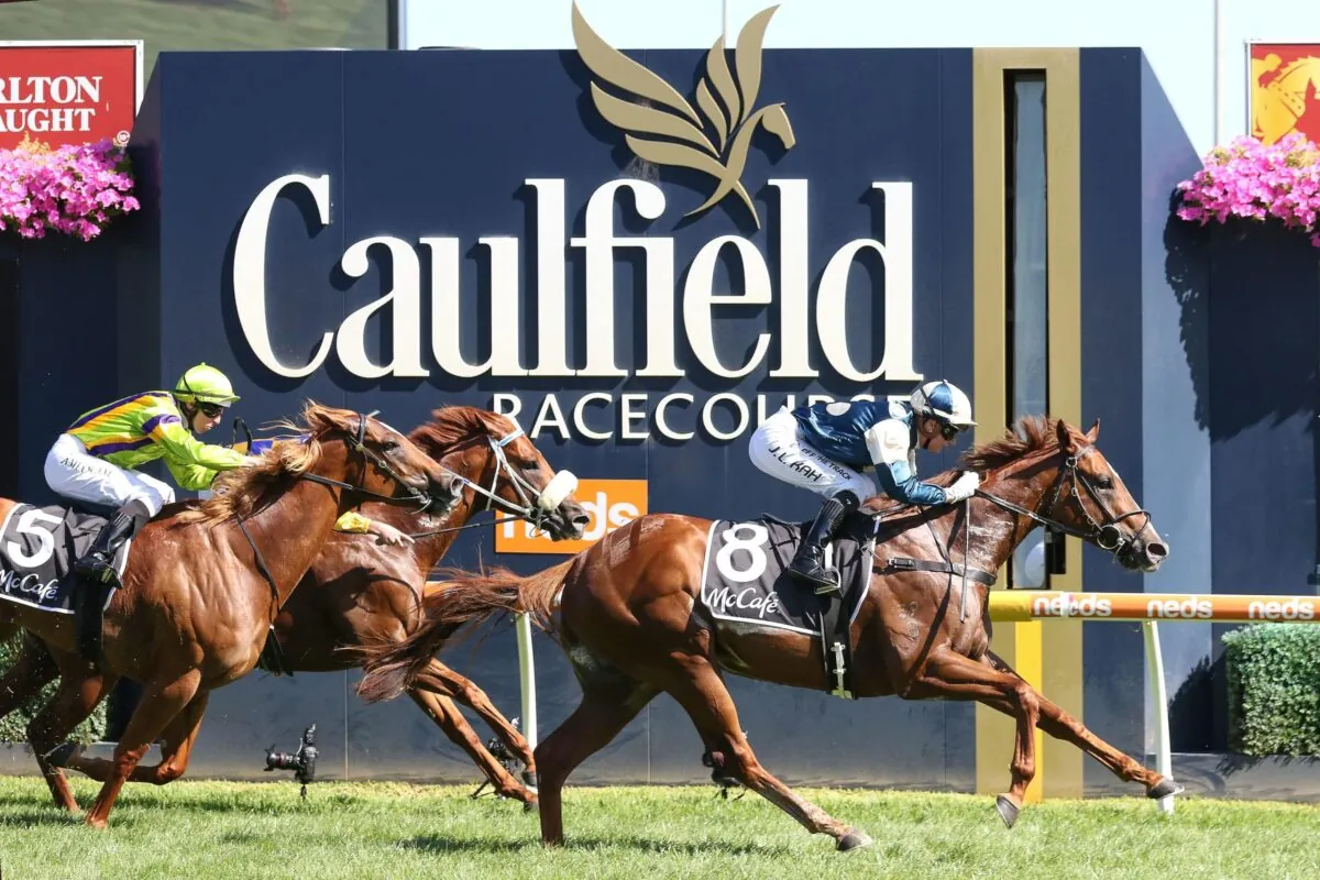 RACING: Today’s Tips From The Vault 16/8 Image