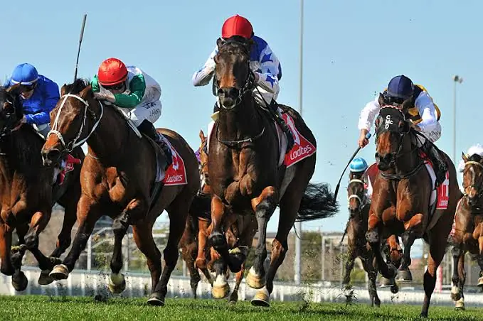 Racing Review: Highest Rated Runs From Caulfield 3/5 Image