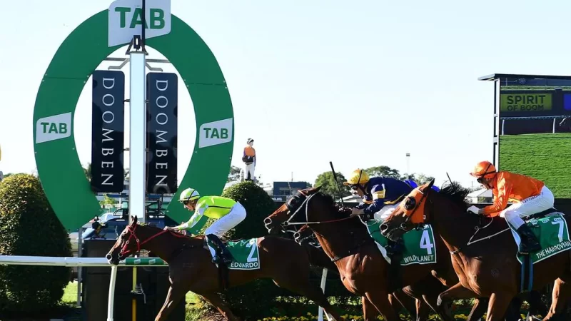 Racing Ratings: Horses To Follow From Doomben 24/5 Image