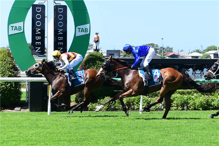 RACING: Doomben Tips – Wednesday 3/6 Image