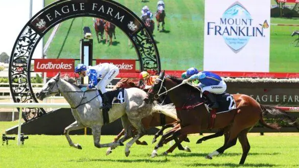 Racing Market Movers: Which Horses Have Been Backed This Saturday 14/6 Image