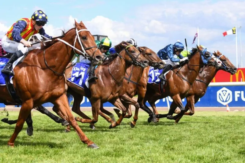 RACING: Long Shots To Follow At Caulfield 20/9 Image