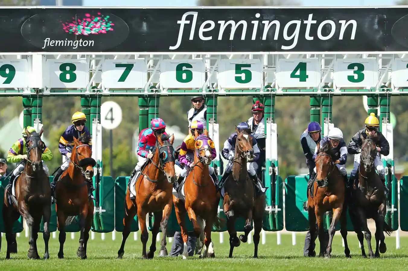 RACING: Champions Mile Best Selection & Value Play Image