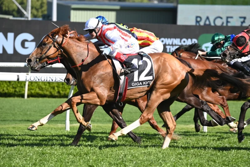 Racing Tips: Our Saturday Special 31/5 Image