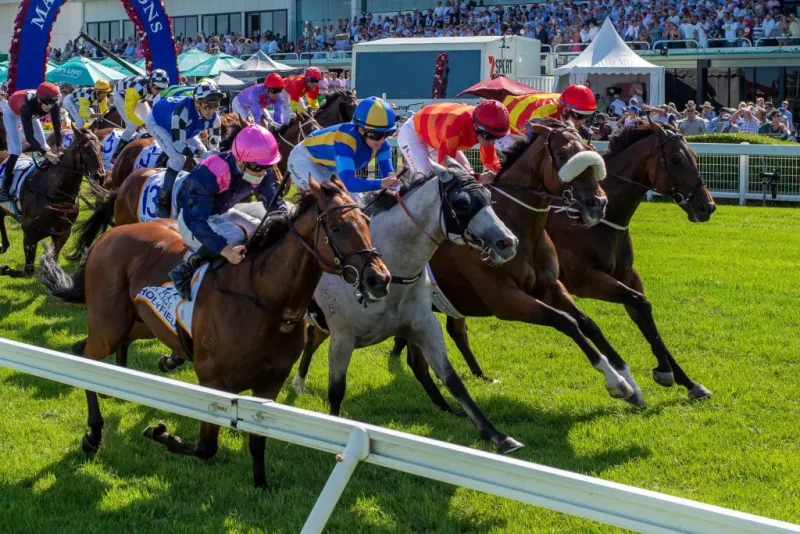 Rated To Win: A Horse We Rated Ready To Win At Gold Coast 23/5 Image