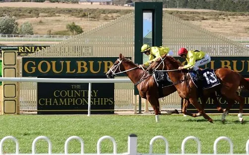 Racing Tips: Our Friday Special 13/6 Image