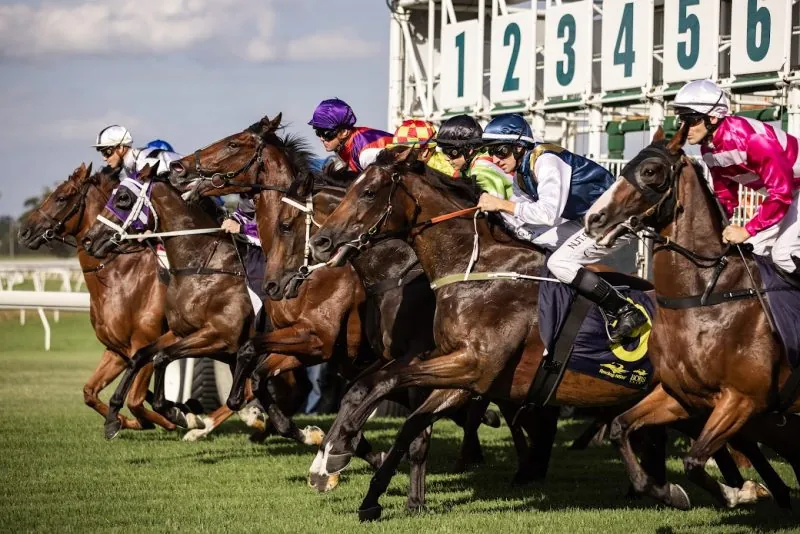RACING: Hawkesbury Specials – Thursday 25/9 Image
