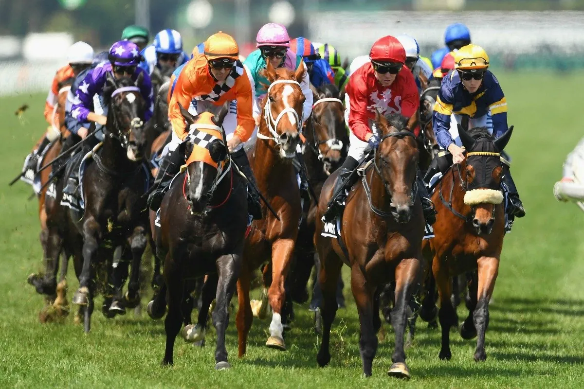RACING: Caulfield Tips – Saturday 29th November Image
