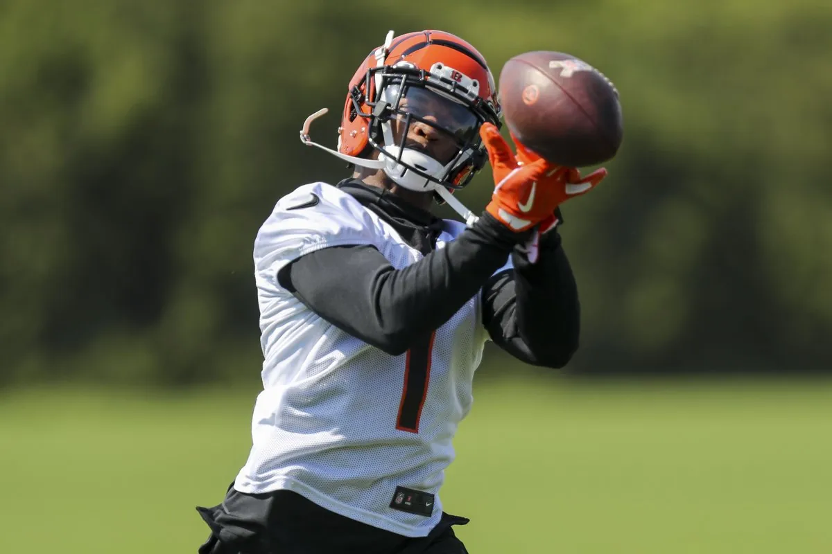 2025 Cincinnati Bengals Projected Finish, Key Signings & Fantasy Stars Image