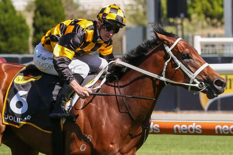 Racing Tips: Our Saturday Special 7/6 Image