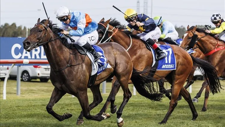 Today’s Racing Tips – Kembla 3/6 Image